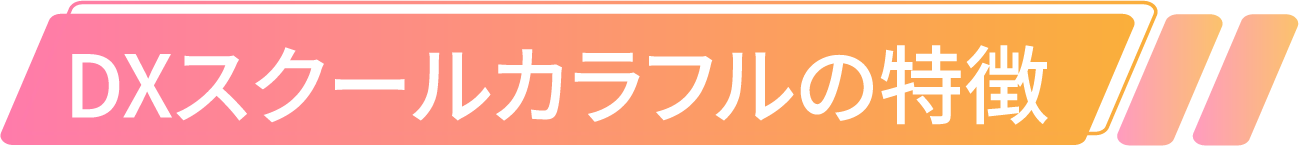 DXスクールカラフルの特徴